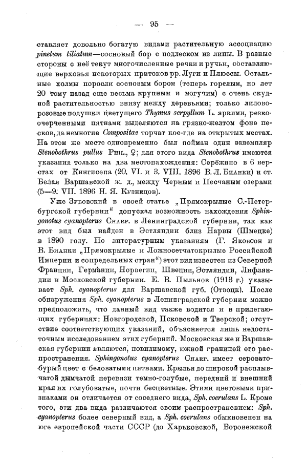 Мирам, 1925 Обзор фауны прямокрылых (Dermatoptera и Orthoptera) Ленинградской губернии. С. 95